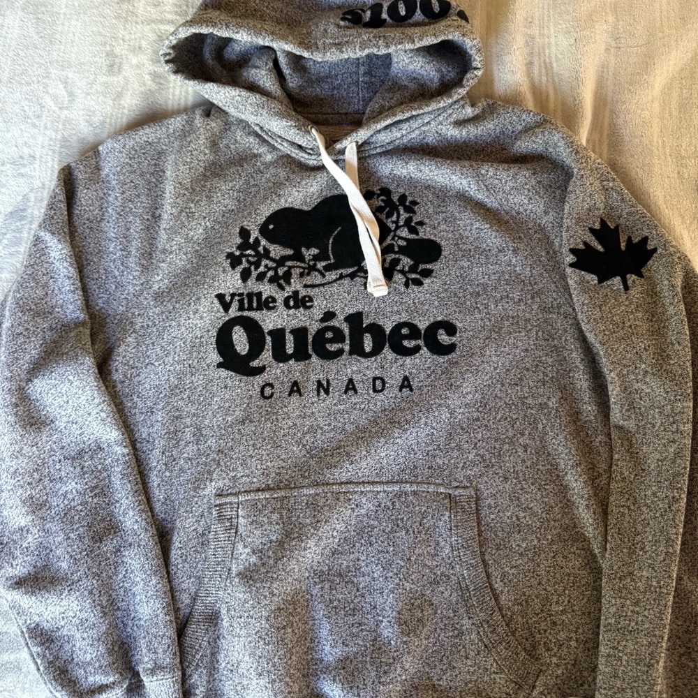 Roots Gray Ville de Québec Hoodie